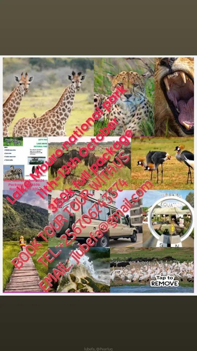 Lake Mburo national park 11th-13th October trip