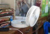 Fan