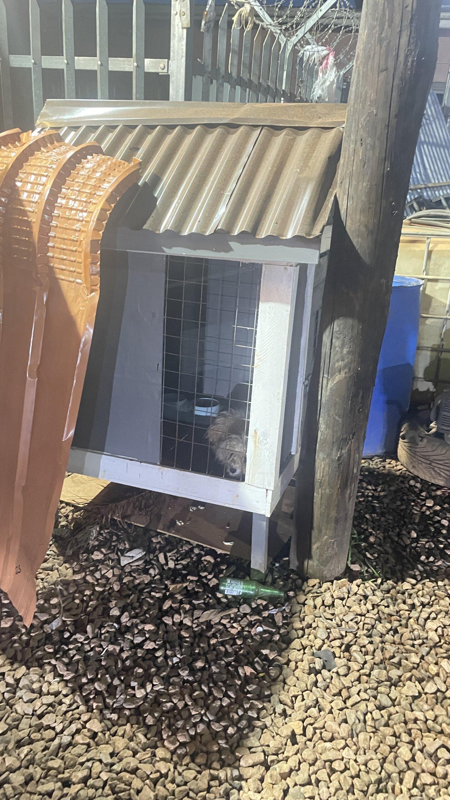Dog house