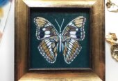 Butterfly art pieces