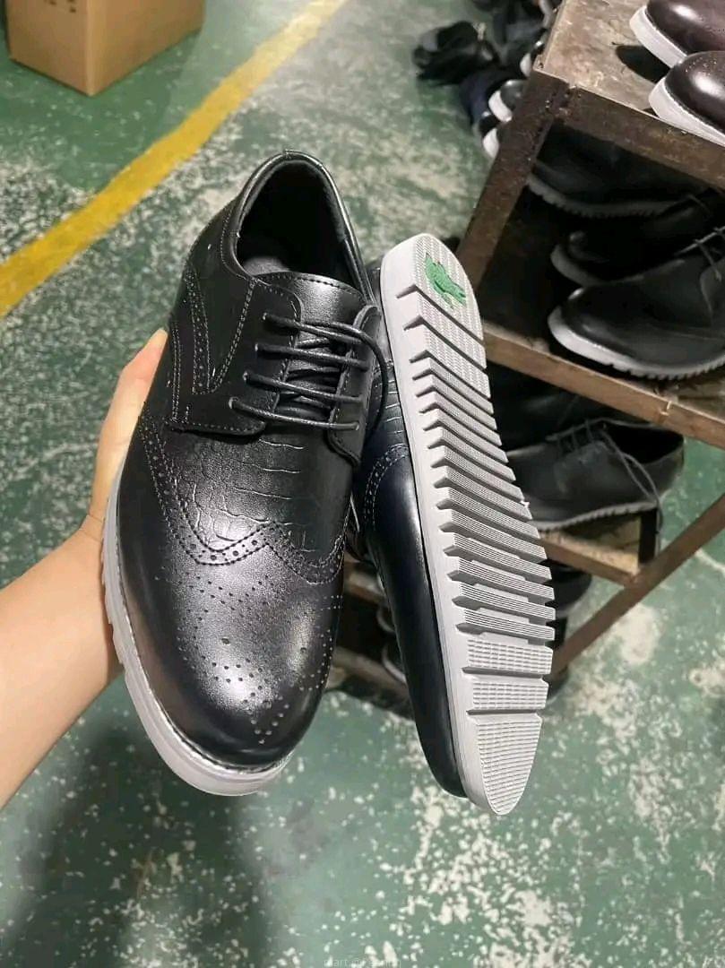 Shoe