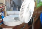 Fan