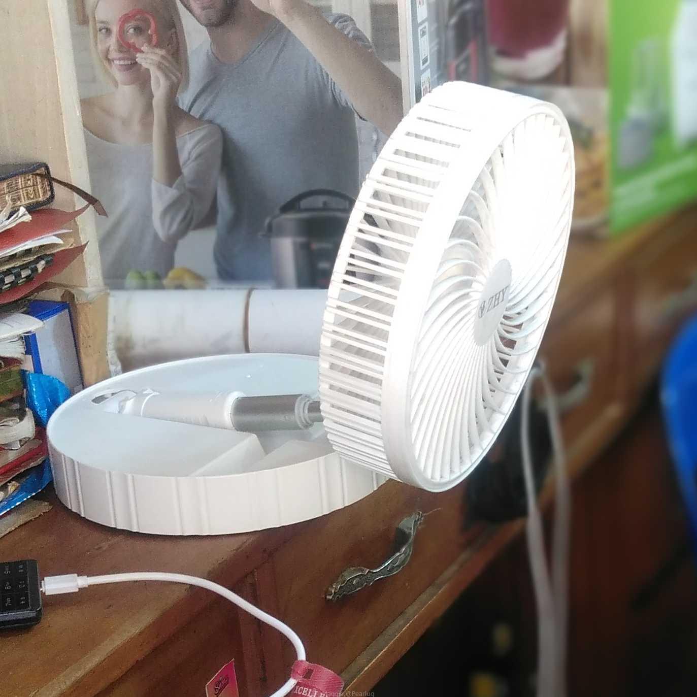 Fan
