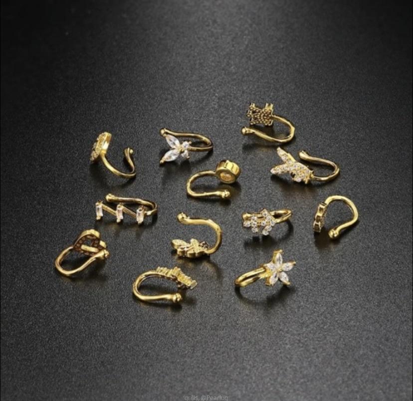 Clip on nose ring