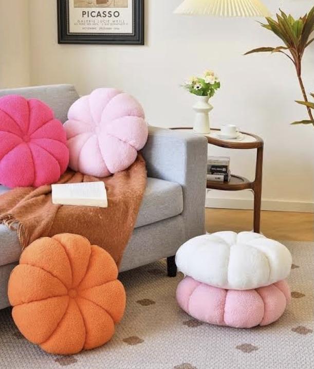 Pillows and cautions