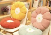 Pillows and cautions