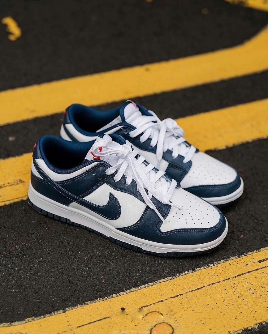 Jordan 1s