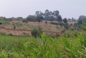 Mile land