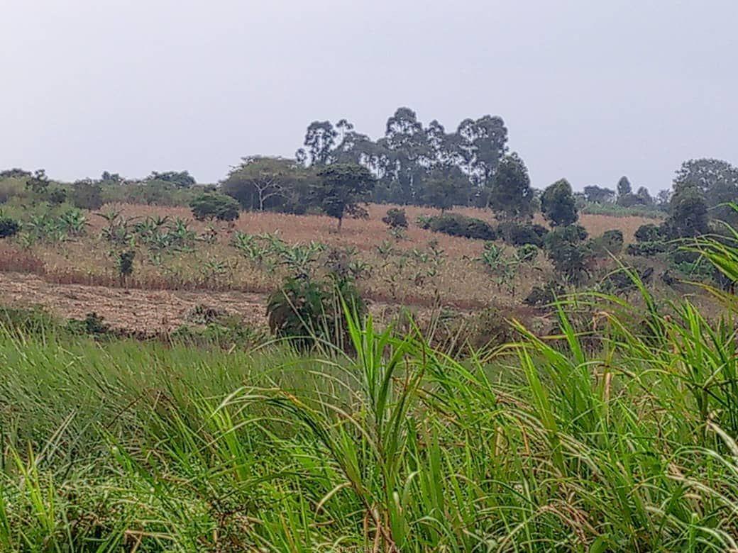 Mile land