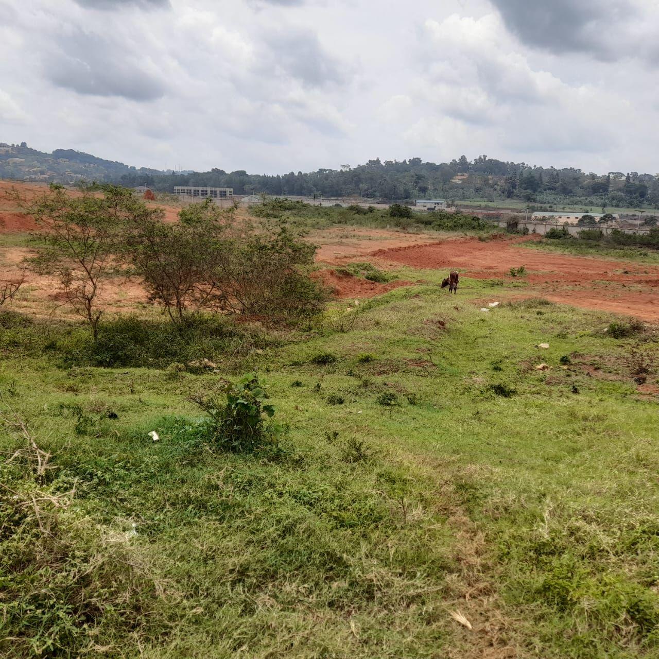 Land