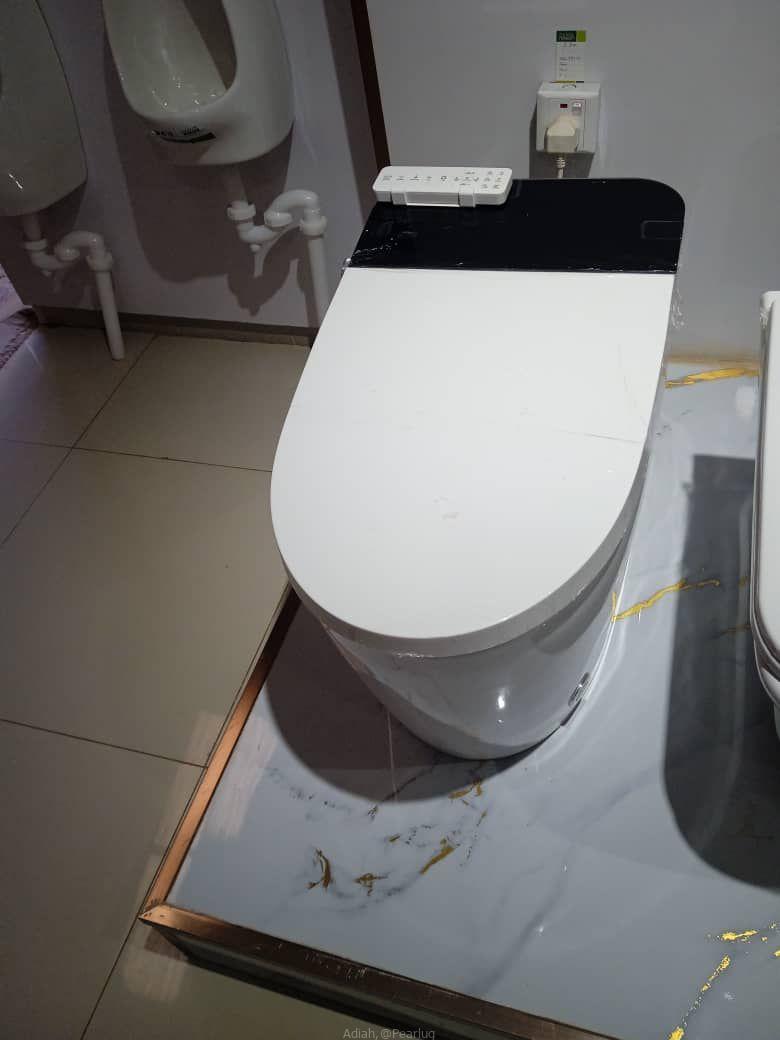 Sawa toilets