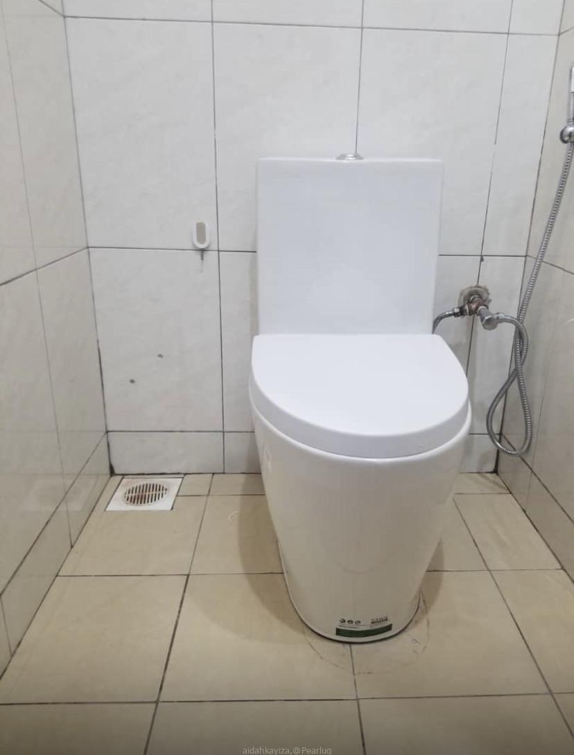 Toilet Seat