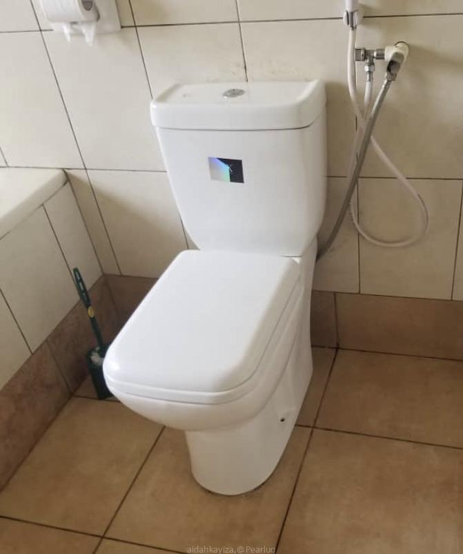 Toilet seat