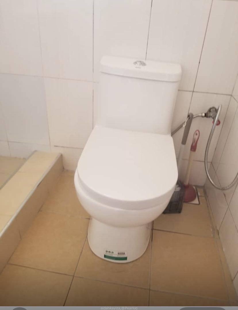 Toilet Seat