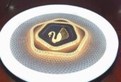Ceiling lights