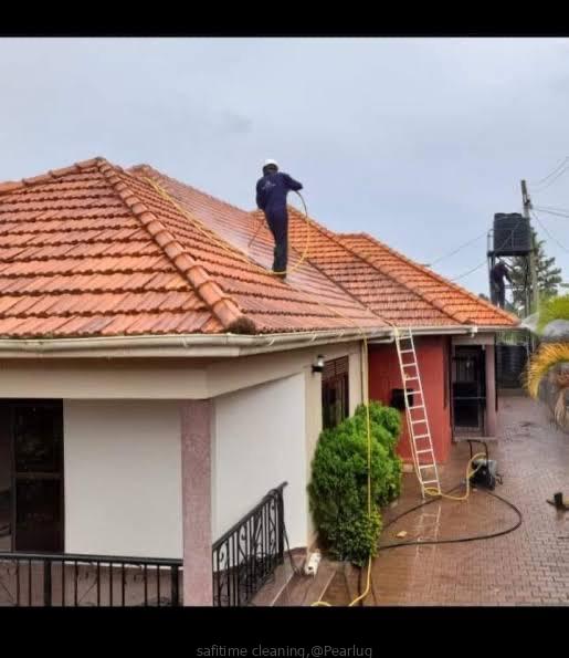 Roof washing