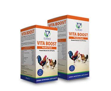 Chicken vitamins