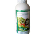 Tomato fertilizers