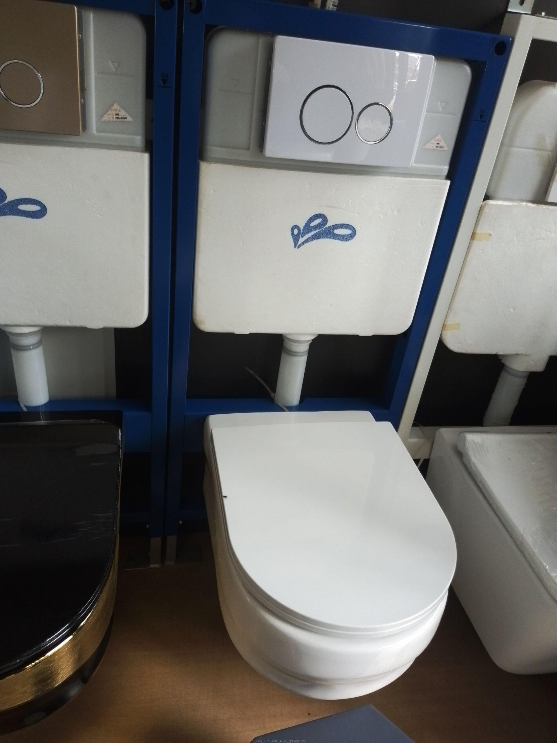Concealed Toilets