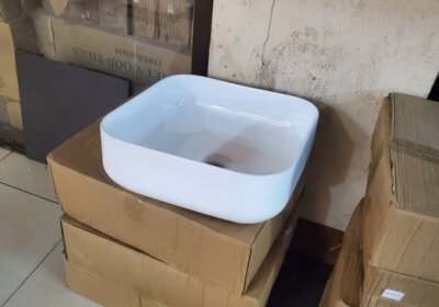 81ec260f-5d68-4575-8f44-08f93bdc87a4