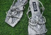 Classic ladies shoes