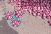 Tomatoes and onions