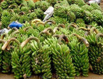 FRESH FOOD