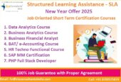 Best Institute for Accounting Course in Delhi, 110014- “New Year Offer 2025” by [ SLA Consultants India] “100% Job Guarantee”