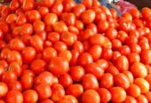 FRESH FOOD