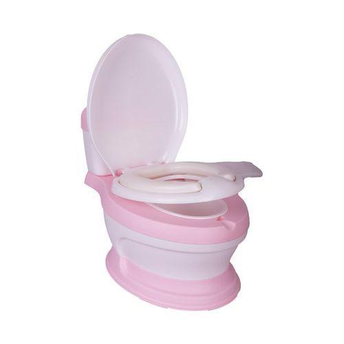 Baby flash potty