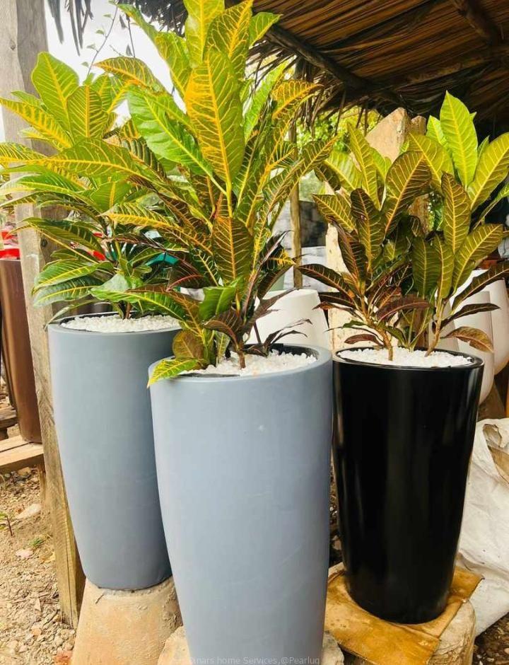 Flower pots both for natural and artificial flowers