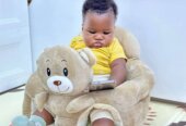 Baby seat trainers