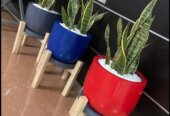 Flower pots