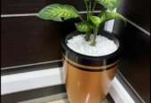 Flower pots both for natural and artificial flowers