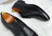 Gentle classy shoes