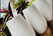 Unique Flower pots
