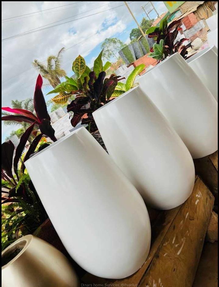 Unique Flower pots