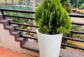 Flower pots both for natural and artificial flowers