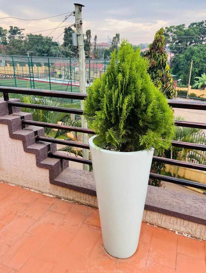 Flower pots both for natural and artificial flowers