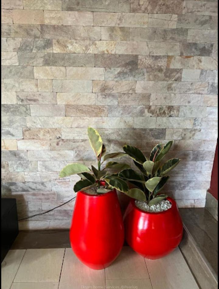 Unique Flower pots