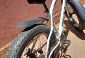 Fat tyre bike