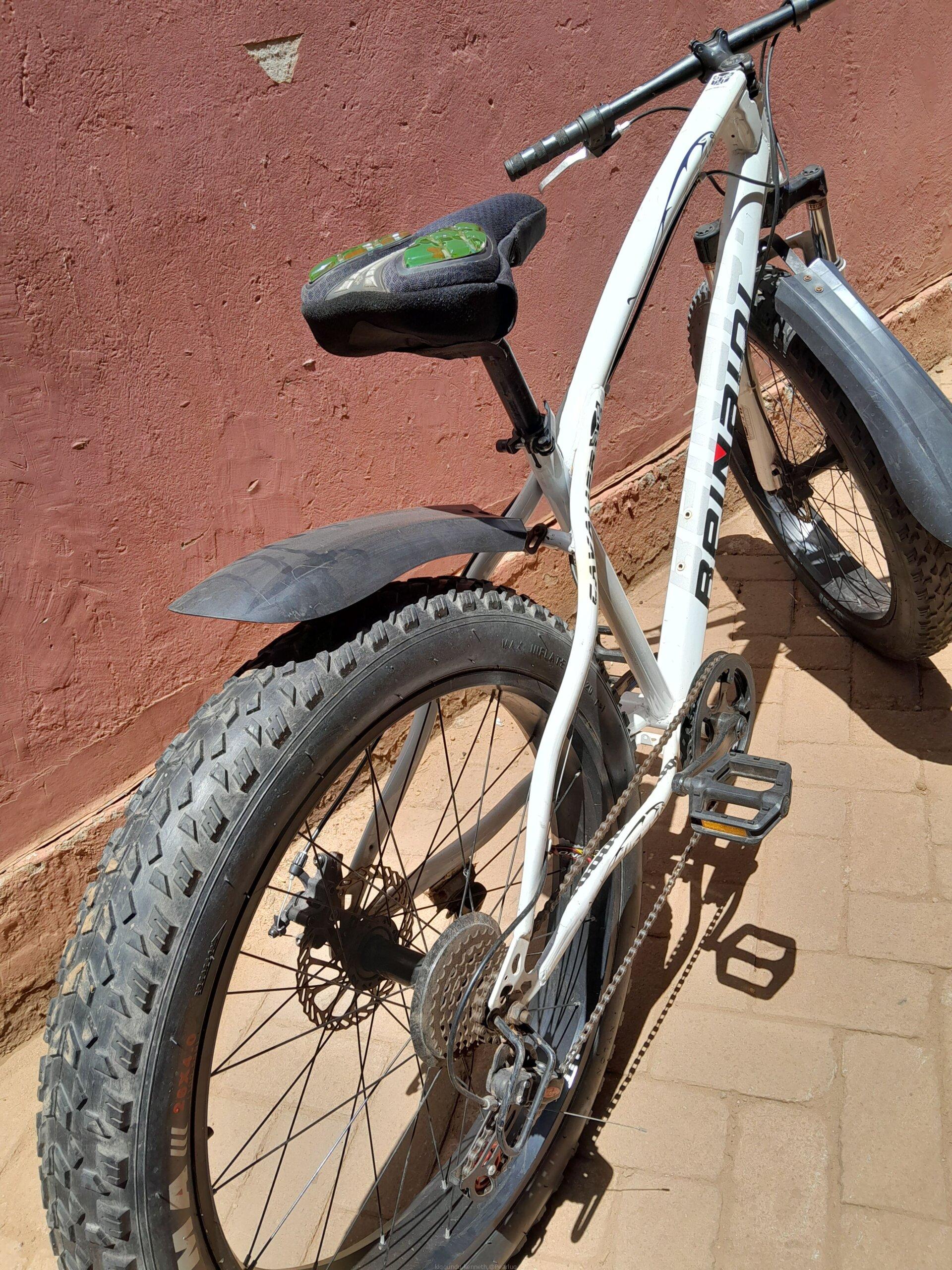 Fat tyre bike