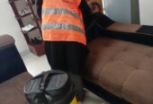 Sofa set cleaning