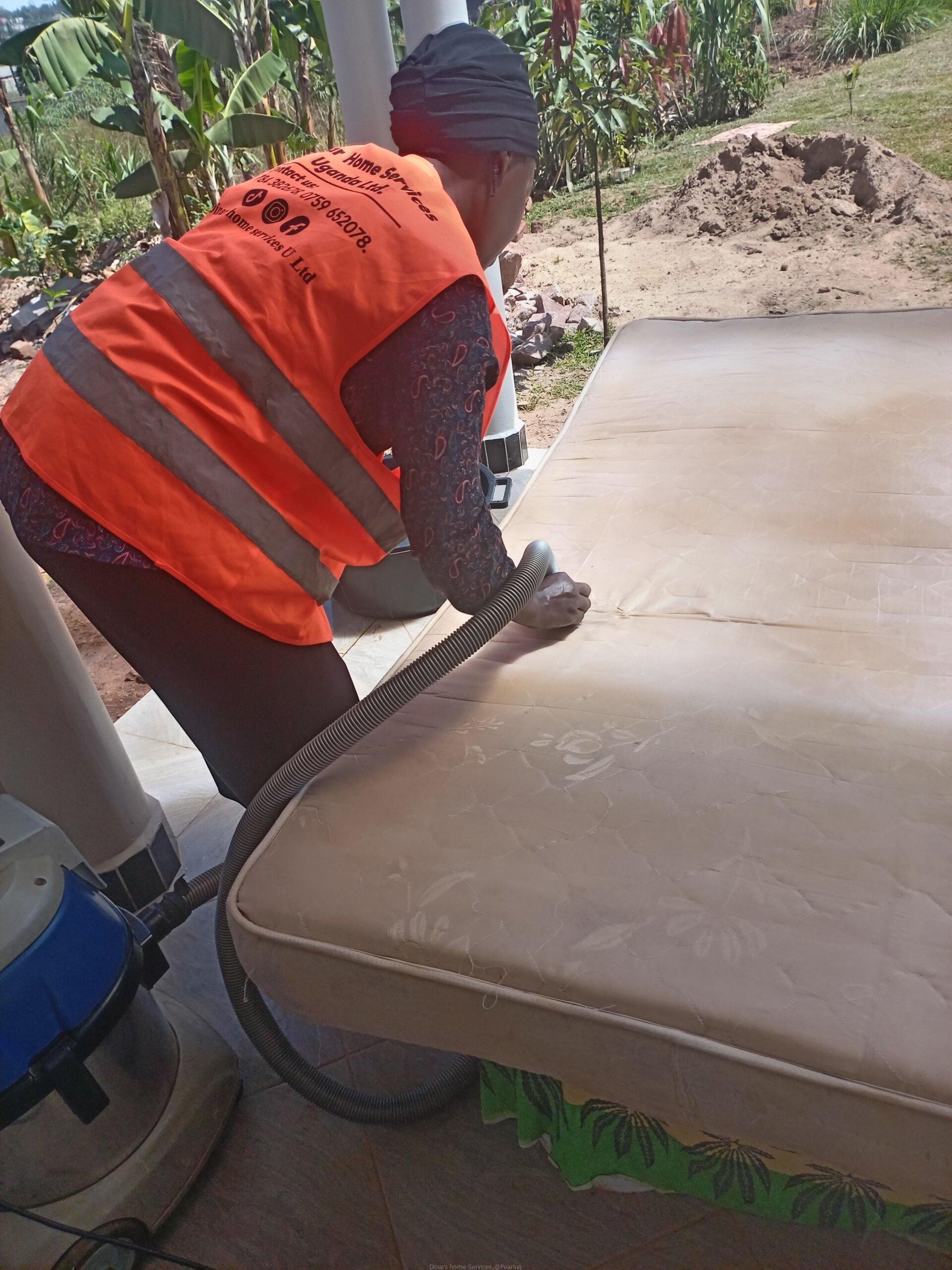 Sofa set cleaning