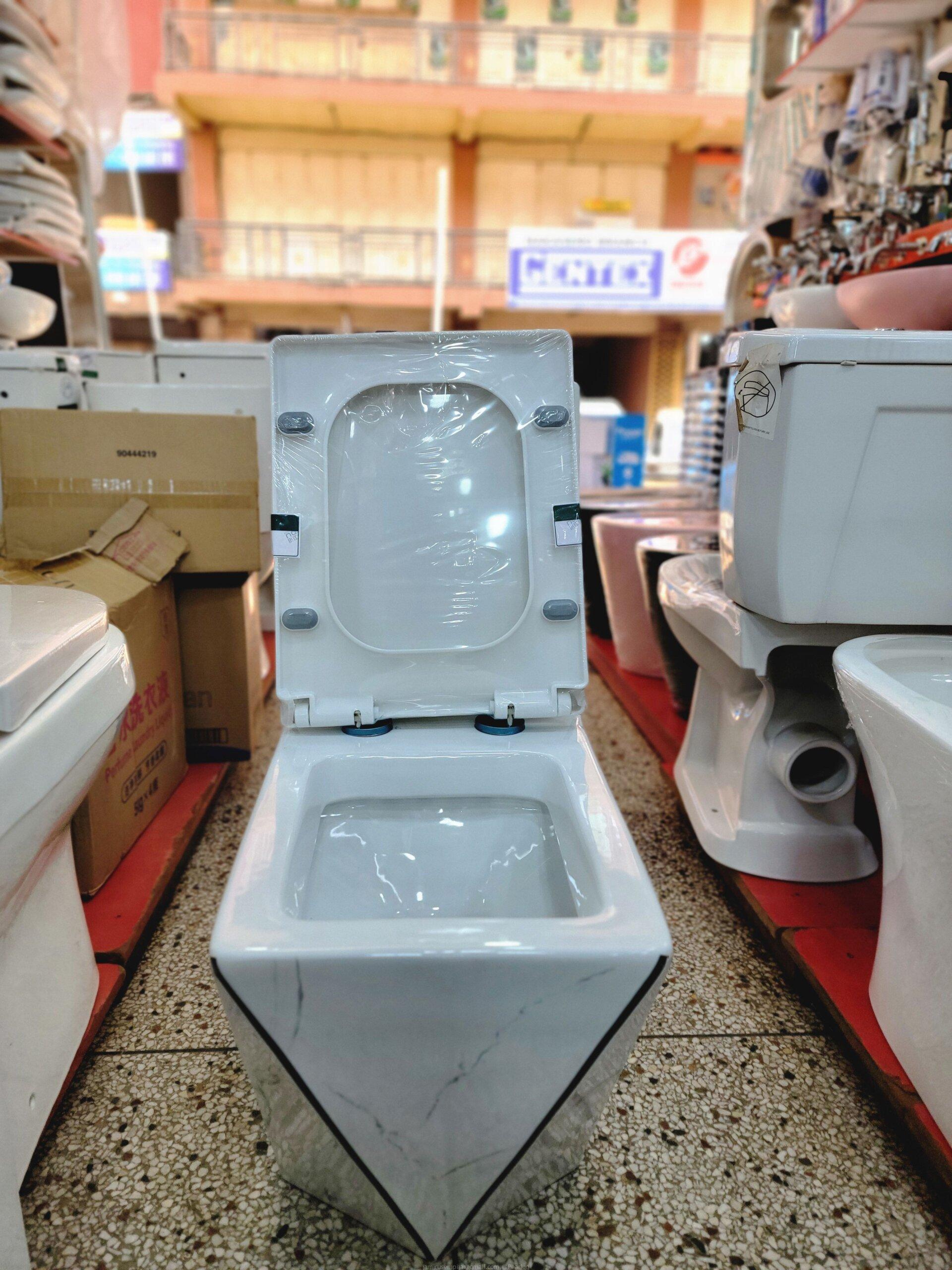 One Piece Toilet