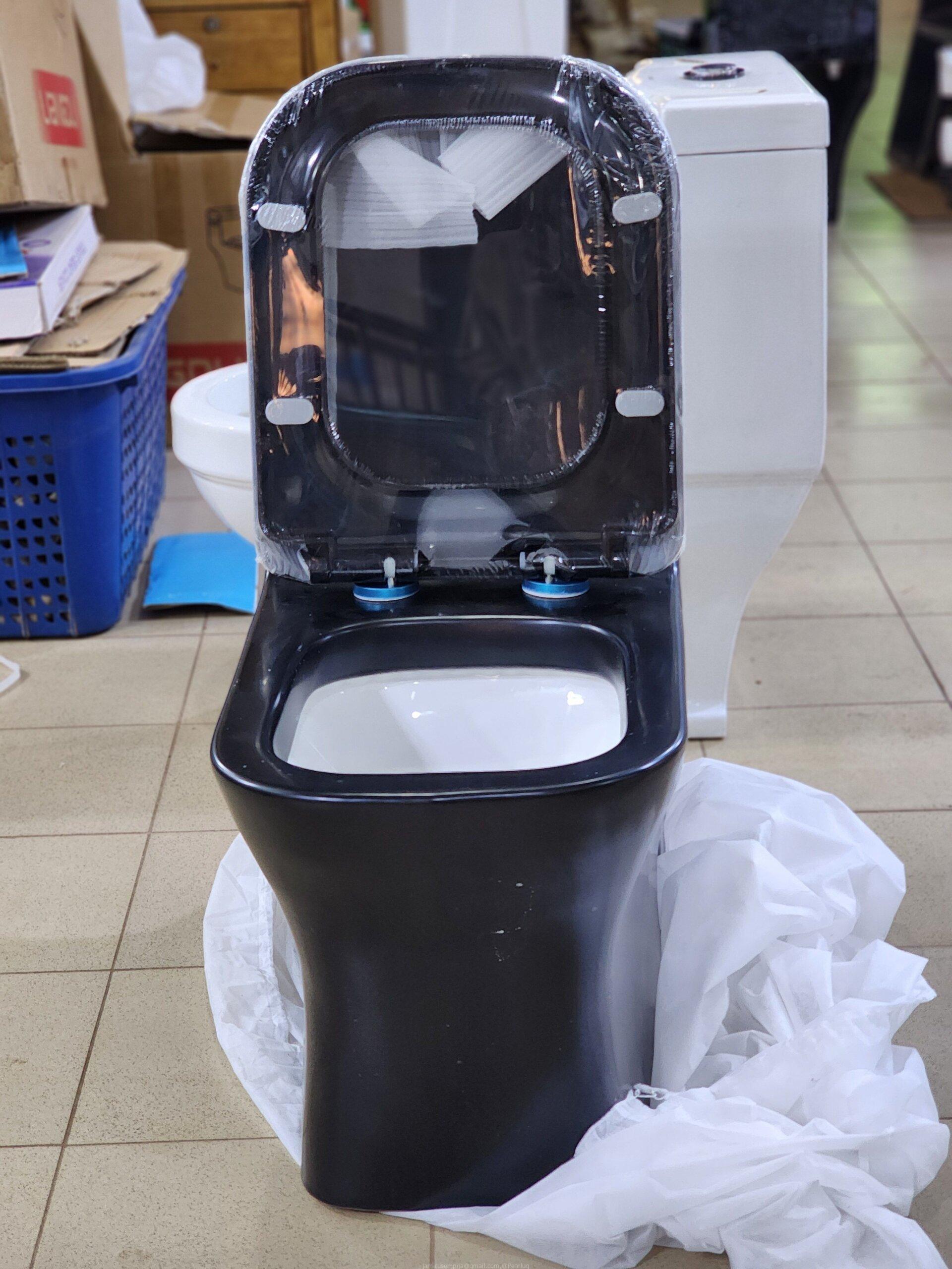One Piece Toilet