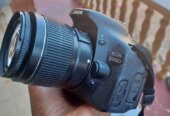 Canon cameras