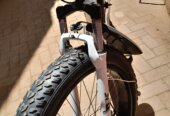 Fat tyre bike