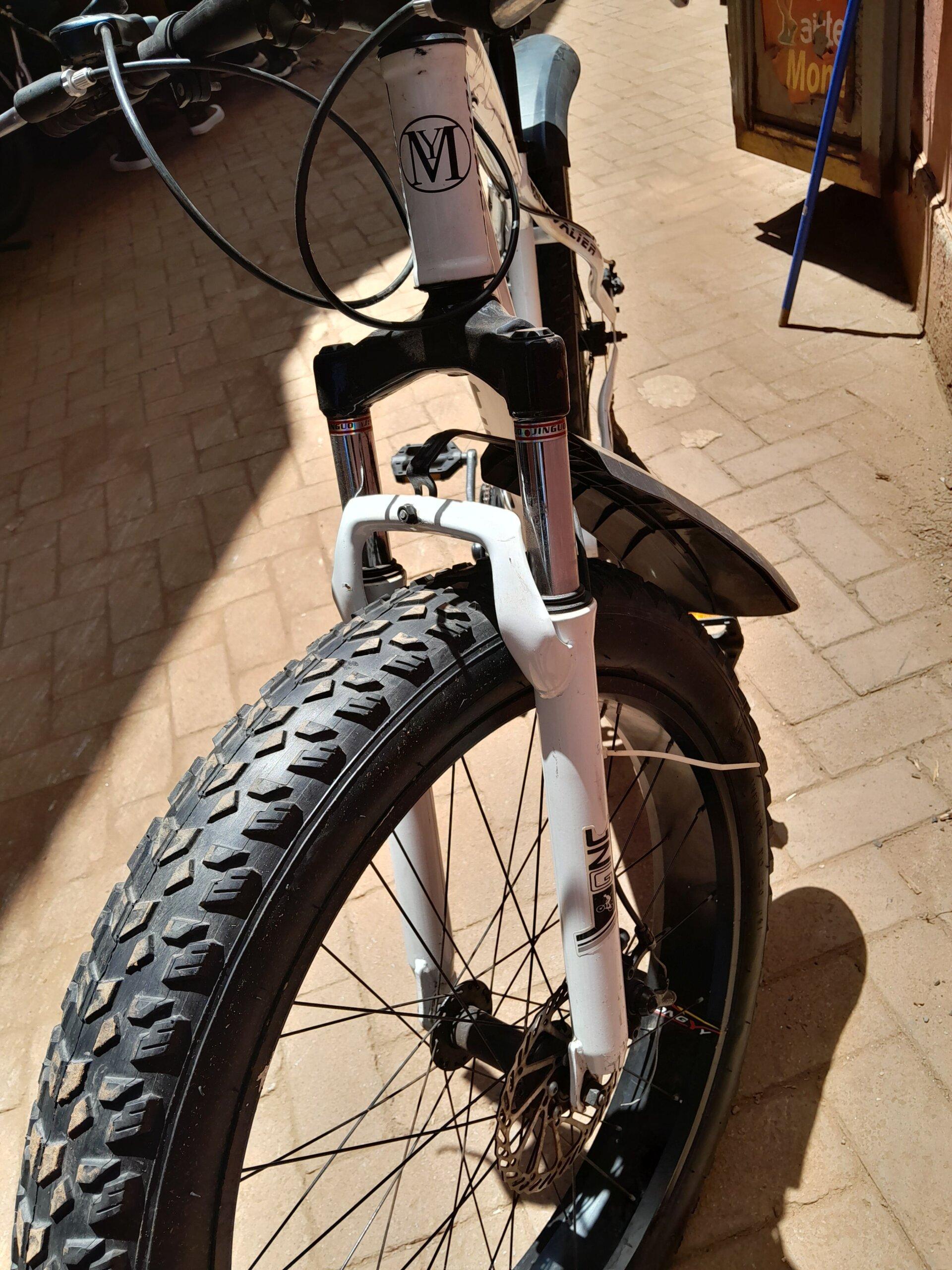 Fat tyre bike