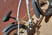 Fat tyre bike